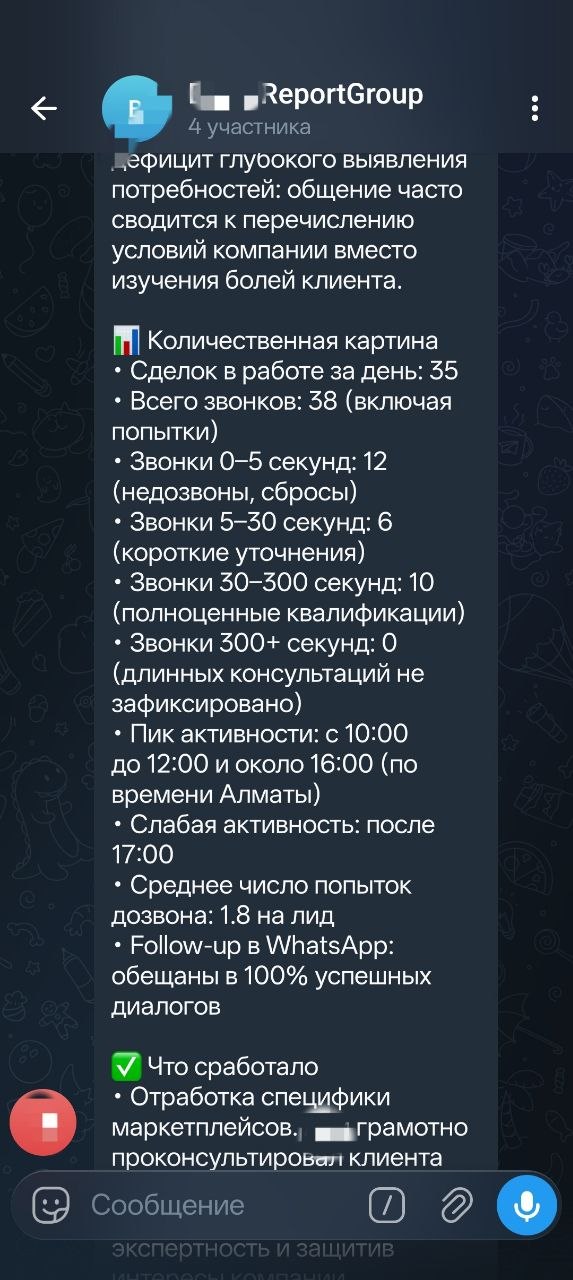 Скриншот отчёта Synkro 1