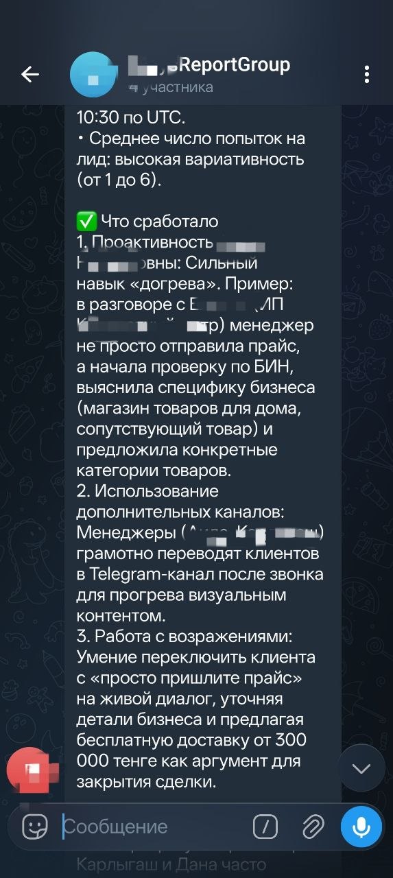 Скриншот отчёта Synkro 8